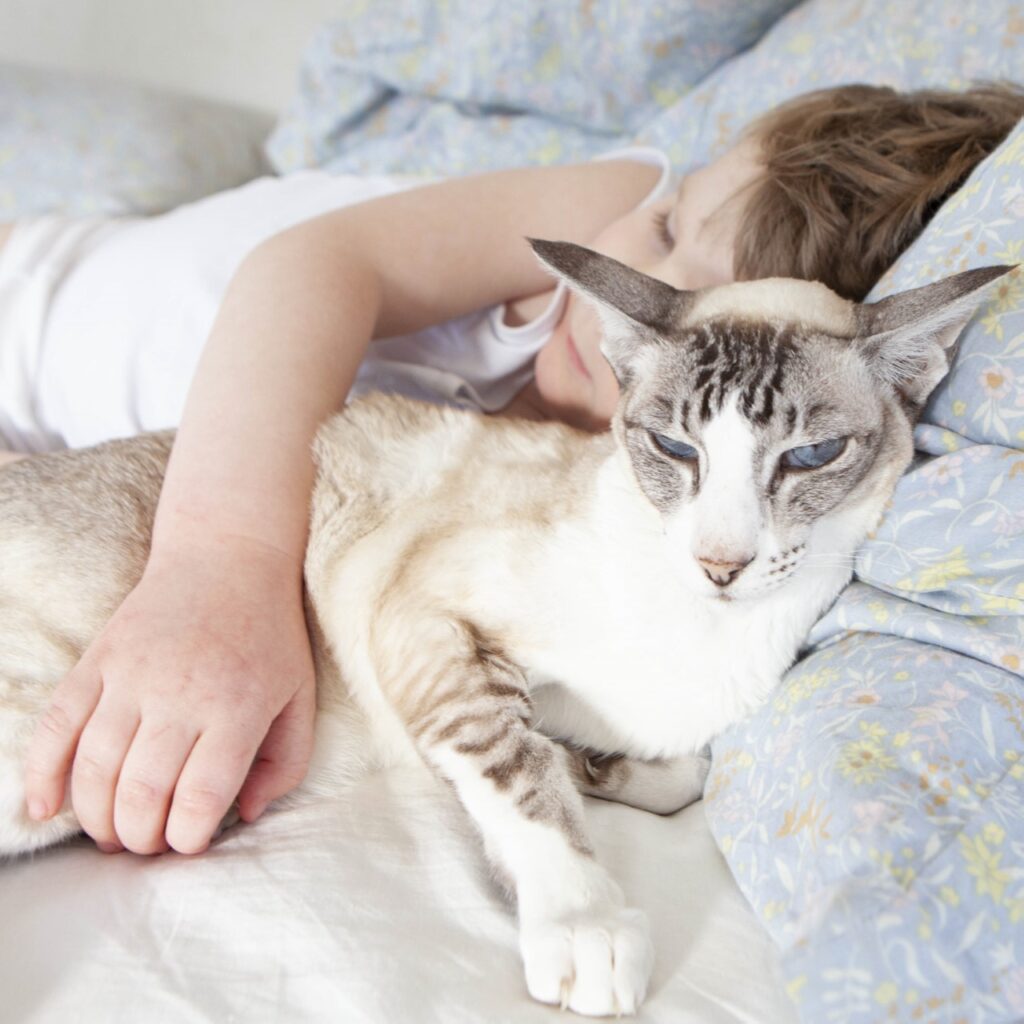 Ett barn och en katt ligger ner tillsammans i en säng. Katten, ljust beige päls samt blåa ögon, ligger närmast kameran och bakom katten ligger barnet som bär ett vitt linne och håller armen runt katten. I sängen finns sängkläder med 