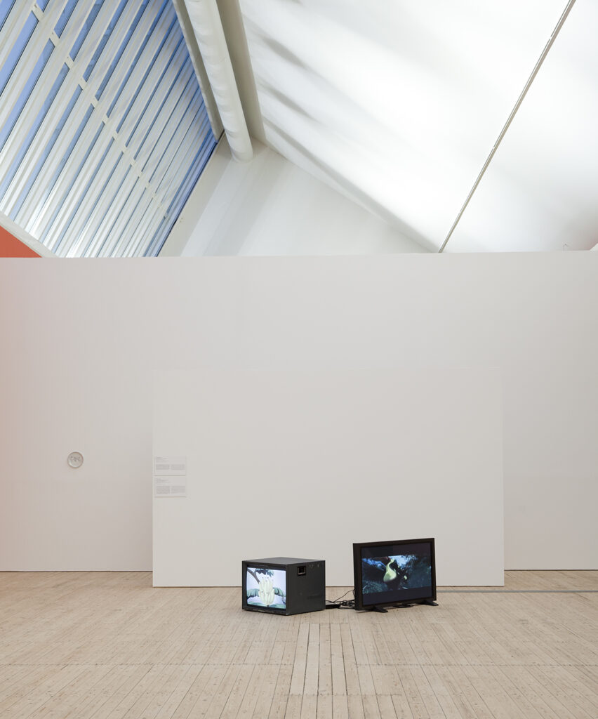 Installationsbild av Carla Zaccagnini och Runo Lagomarsino, Malmö Konsthall 2015.