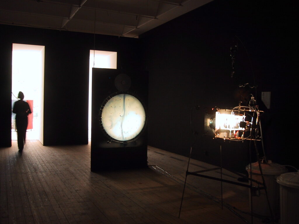 Installationsbild från utställningen Electrohype 2002. Ett mörkt rum med lysande skulpturer.