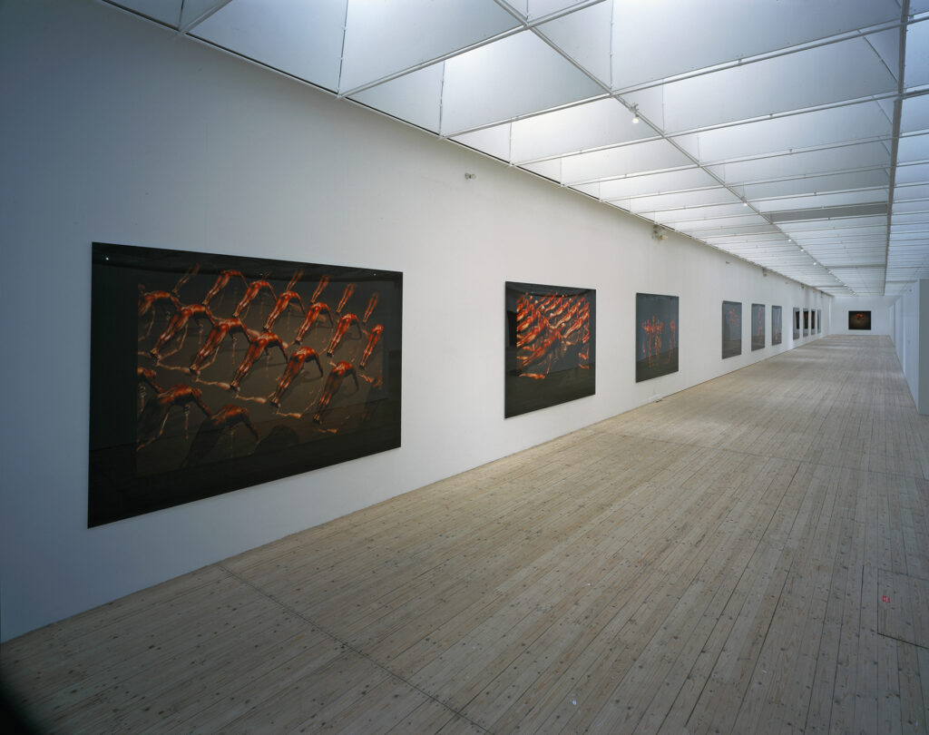 Stora verk av Magnus Wallin hänger på en lång rad i Malmö Konsthall.