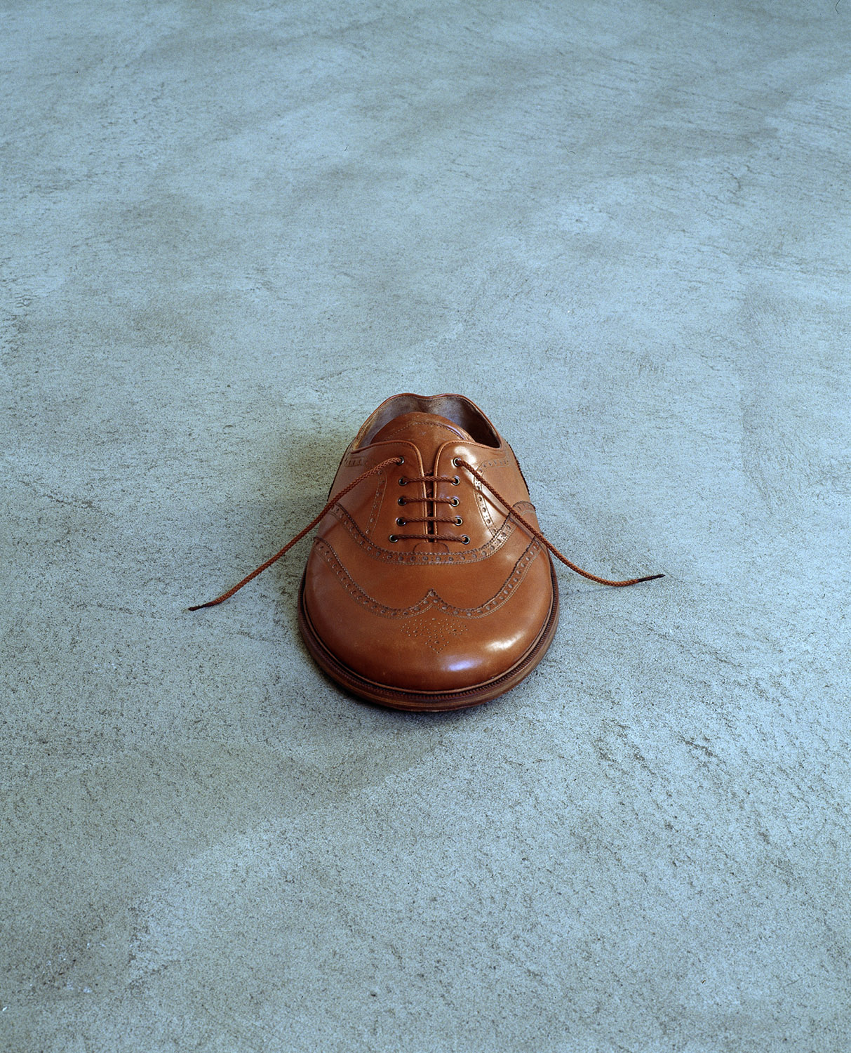 Konstverk av Axel Lieber. En brun herrsko av lite finare, äldre modell fotograferad på ett sätt så man undrar om skon är rund eller om perspektivet förvrider dess form.