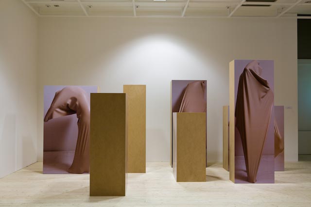 Installationsbild/vy av utställningen FALL OUT, 2010. Pelare eller podier, vissa beklädda med bild andra inte.