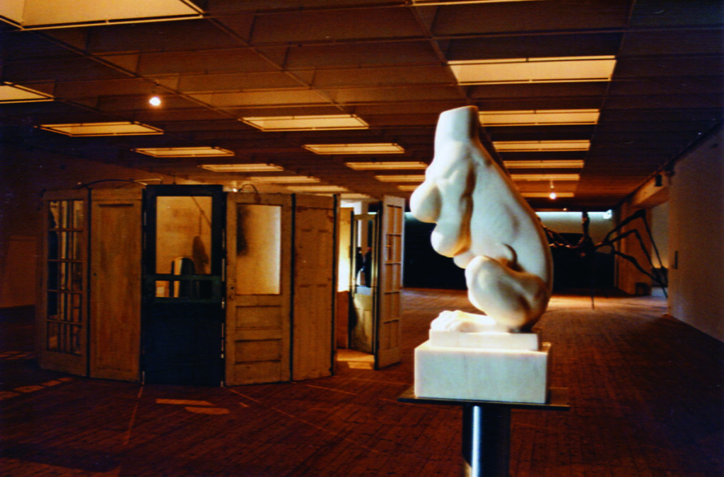 Bild på ett skulpturalt verk av Louise Bourgeois. Verket har en organisk mjuk form och i bakgrunden syns ett annat verk föreställande flera ytterdörrar ståendes i en ring.