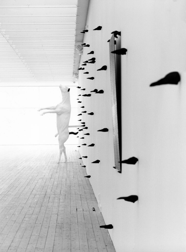 Miljöbild över Not Vitals utställning. En skulptur av ett djur står på bakbenen med frambenen ut i luften. På väggen bakom skulpturen hänger flertalet små droppformade svarta skulpturer.