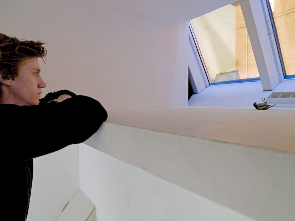 Installation av Elmgreen och Dragset. En man tittar på en liten död fågel på en fönsterkarm.