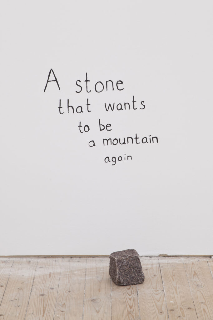 En gatusten ligger på golvet framför texten "A stone that wants to be a mountain again".