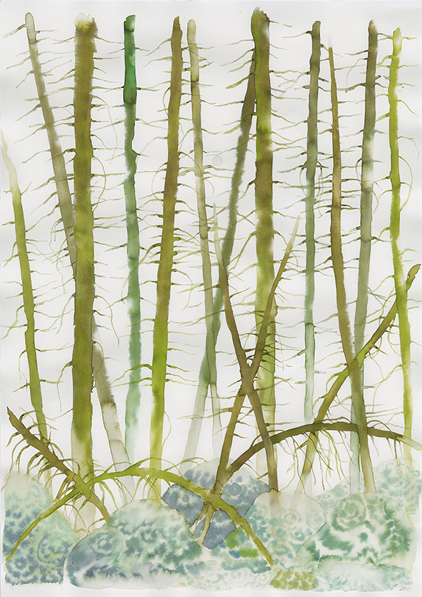 Lätt och ljus målning av trädstammar på en mossig stenbädd