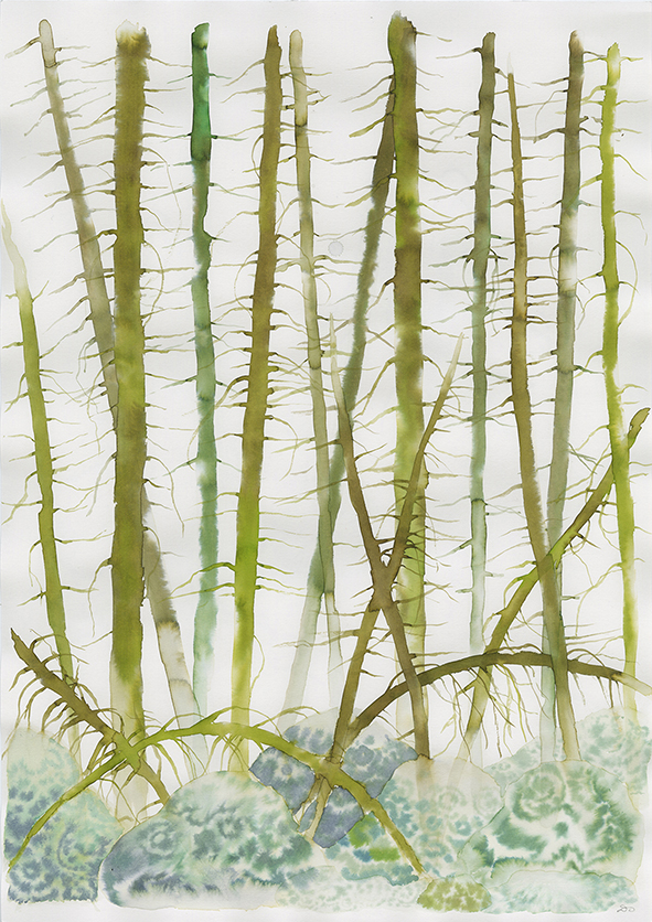 Light and airy painting of tree trunks on a mossy stone bed.