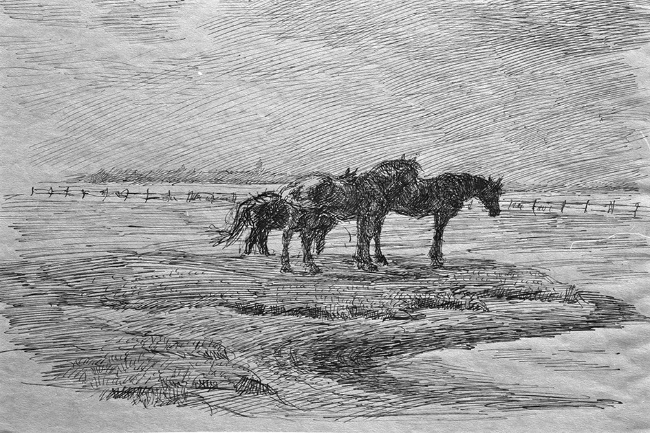 En teckning av tre hästar. Gjord i tusch.