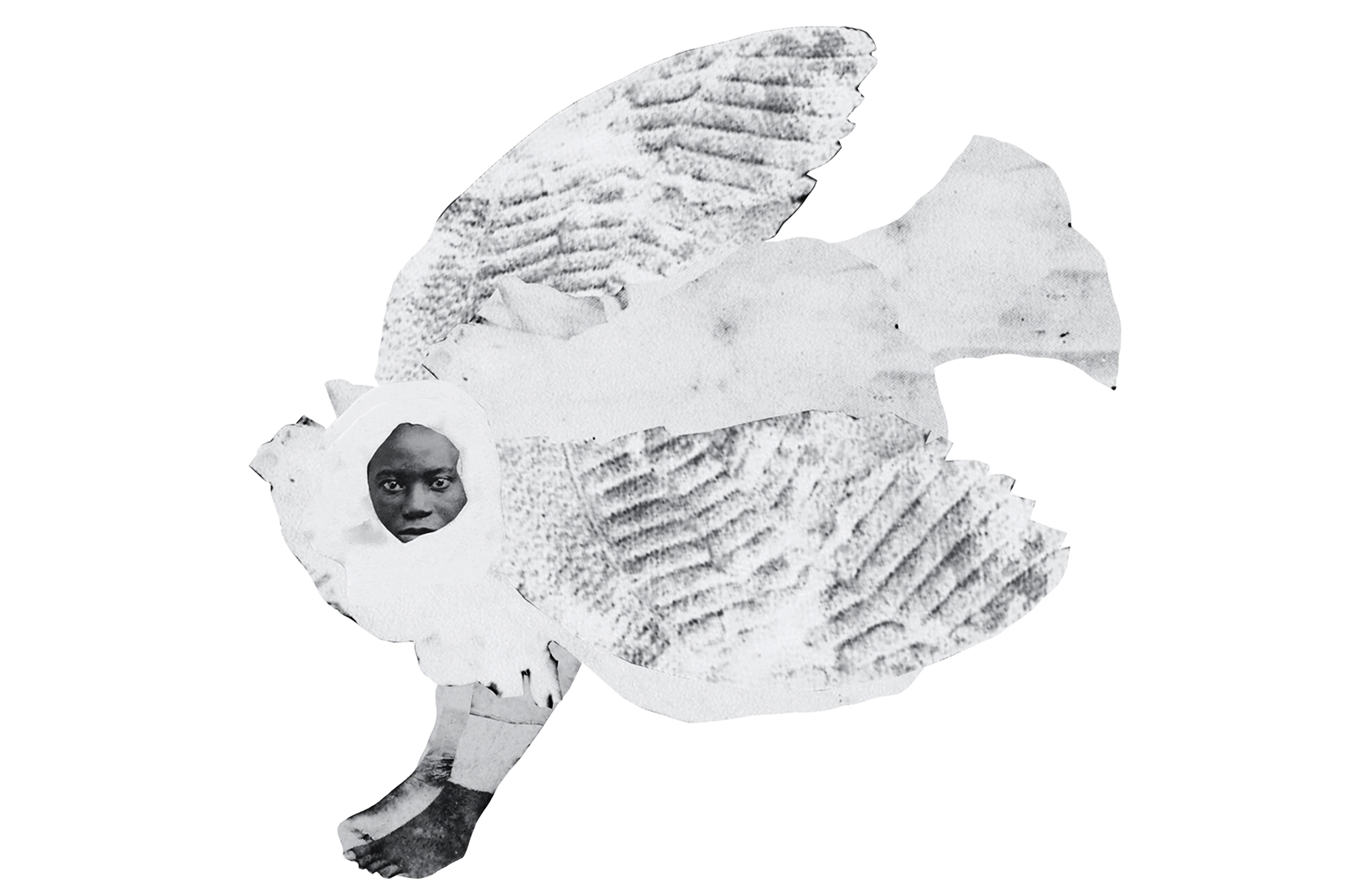 Collage av papper, en fågel med mänskligt ansikte och fötter.