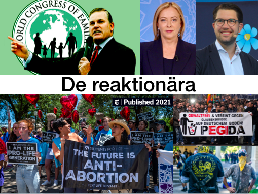 Collageartad bild med klipp av politiker och demonstrationer, i mitten syns texten 