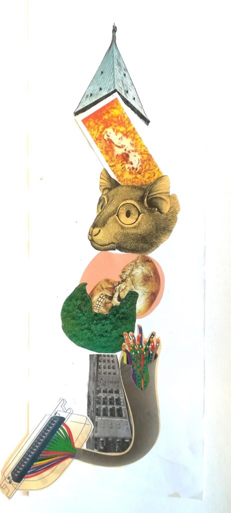 Collage av olika bilder från en bok; ett djurhuvud, sladdar, en döskalle mm.