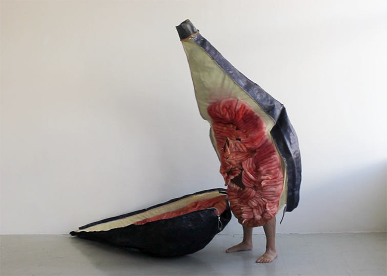 A work by Ingela Ihrman depicting a costume of a fig split into two halves. The artist is inside the fig, and their feet are sticking out.