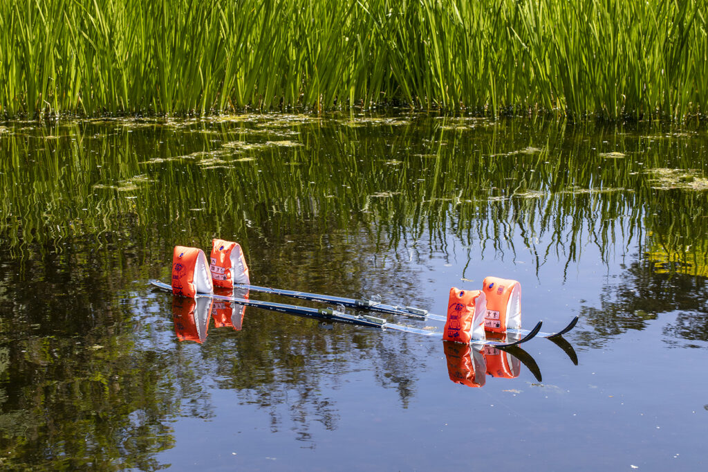 Two skis with swimming puffs in a pond where reeds are visible in the background.