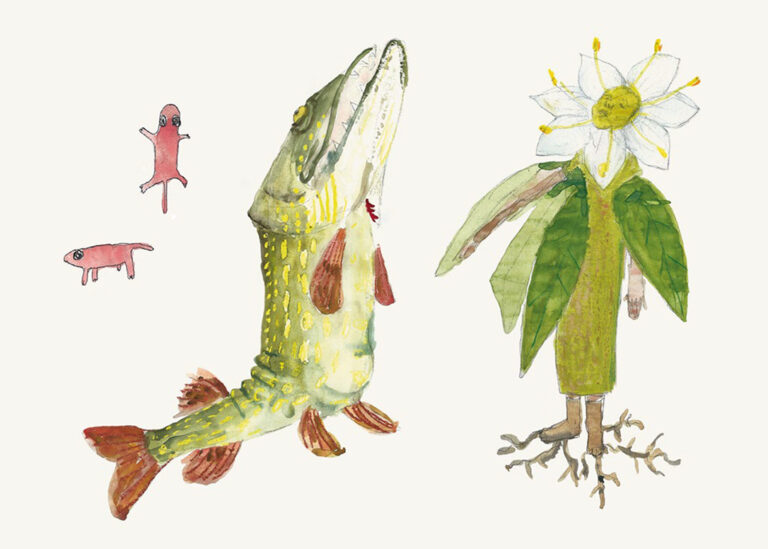 Färglagda illustrationer som föreställer: två små fyrbenta varelser med svans, en gädda som står upp på sina bakre fenor, och en människa förklädd till en växt med rötter, stjälk, löv och blomma