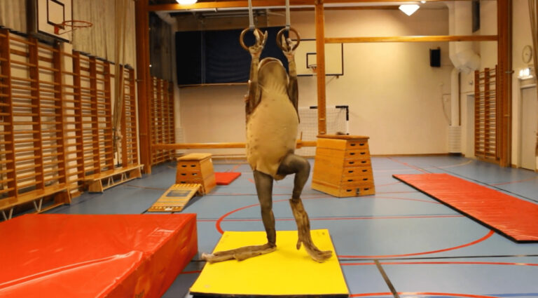 En människa iklädd groddräkt utför redskapsgymnastik på klumpigt vis.