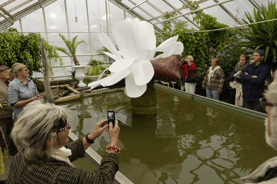 People have gathered around a giant waterlily in a botanical garden. The water lily is a human dressed in a flower costume.