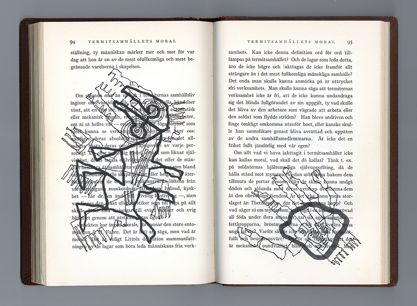 Cover of book with drawings drawing on the text pages.