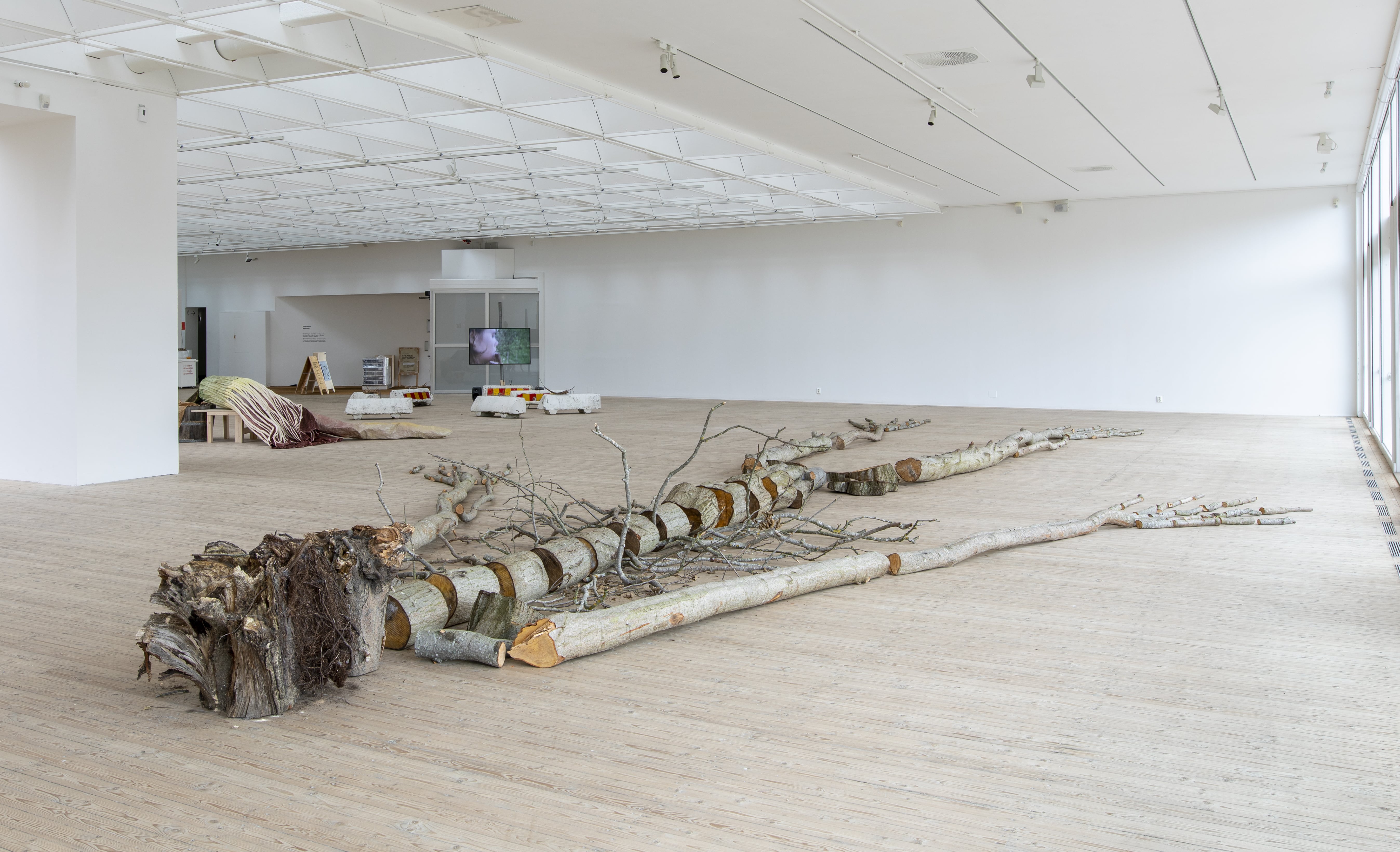 En stor träskulptur, cirka 15 meter lång, ligger på konsthallens golv. Kroppen är skapad av pinnar, stubbar och grenar från döda alar.