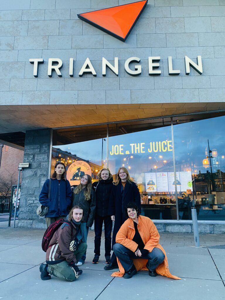 Sex unga personer poserar i samlad grupp utanför Triangelns köpcentrum och köpcentrets stora logo.