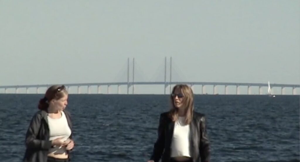 Still from the film The Strait Trilogy: The main characters stand in front of the water, with the Öresund Bridge in the background.