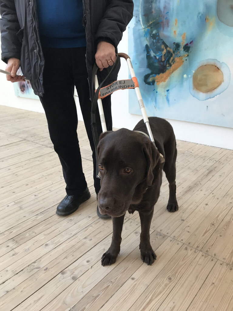 Guide dog next to its owner at Malmö Konsthall. Photo: Heidi Hakala