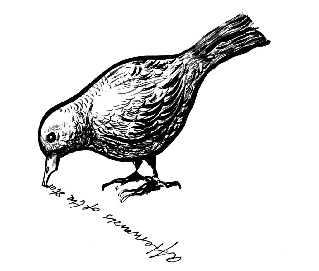 Svartvit tecknad fågel som skriver fredsbudskap med näbben.