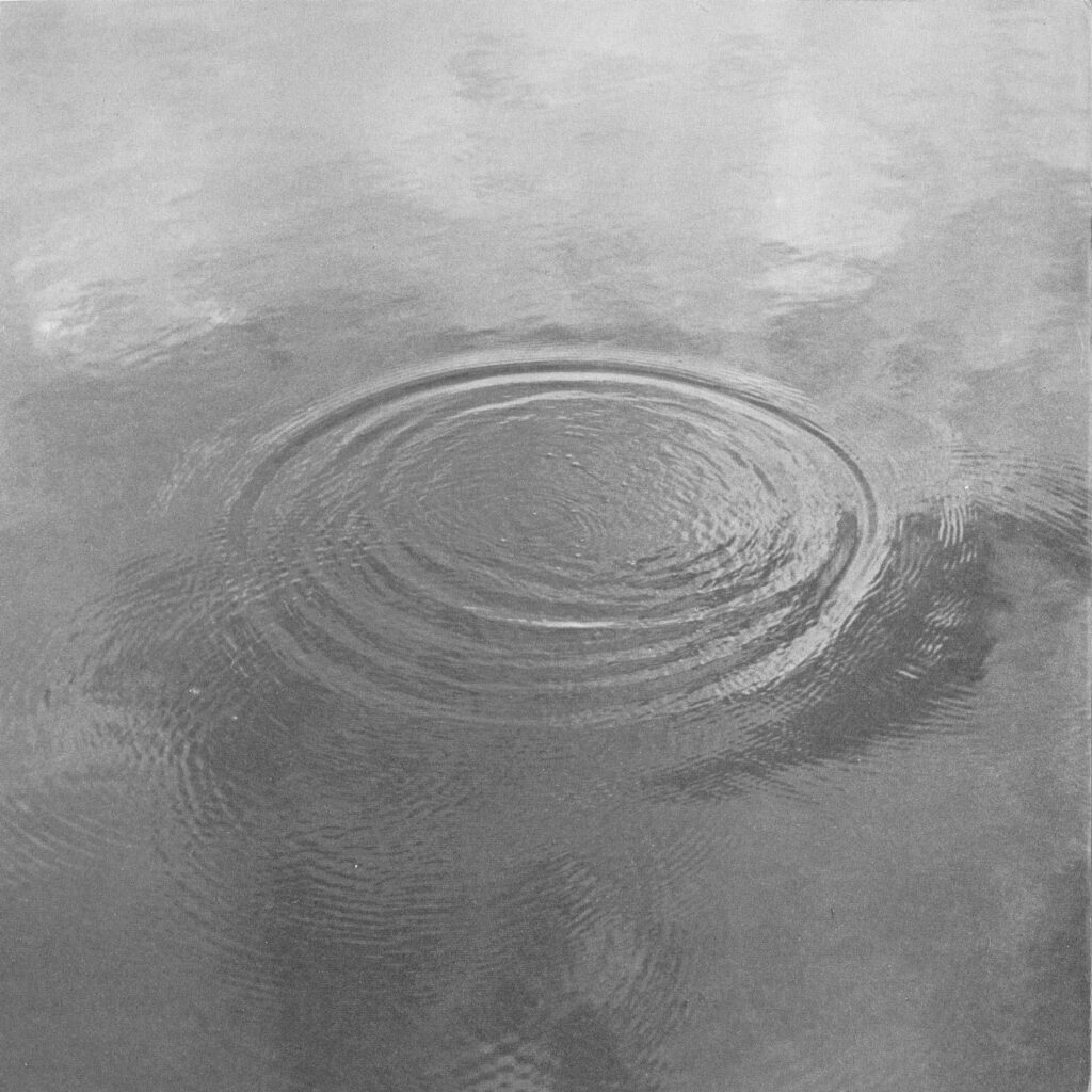 Svartvitt foto av ringar på vattnet.