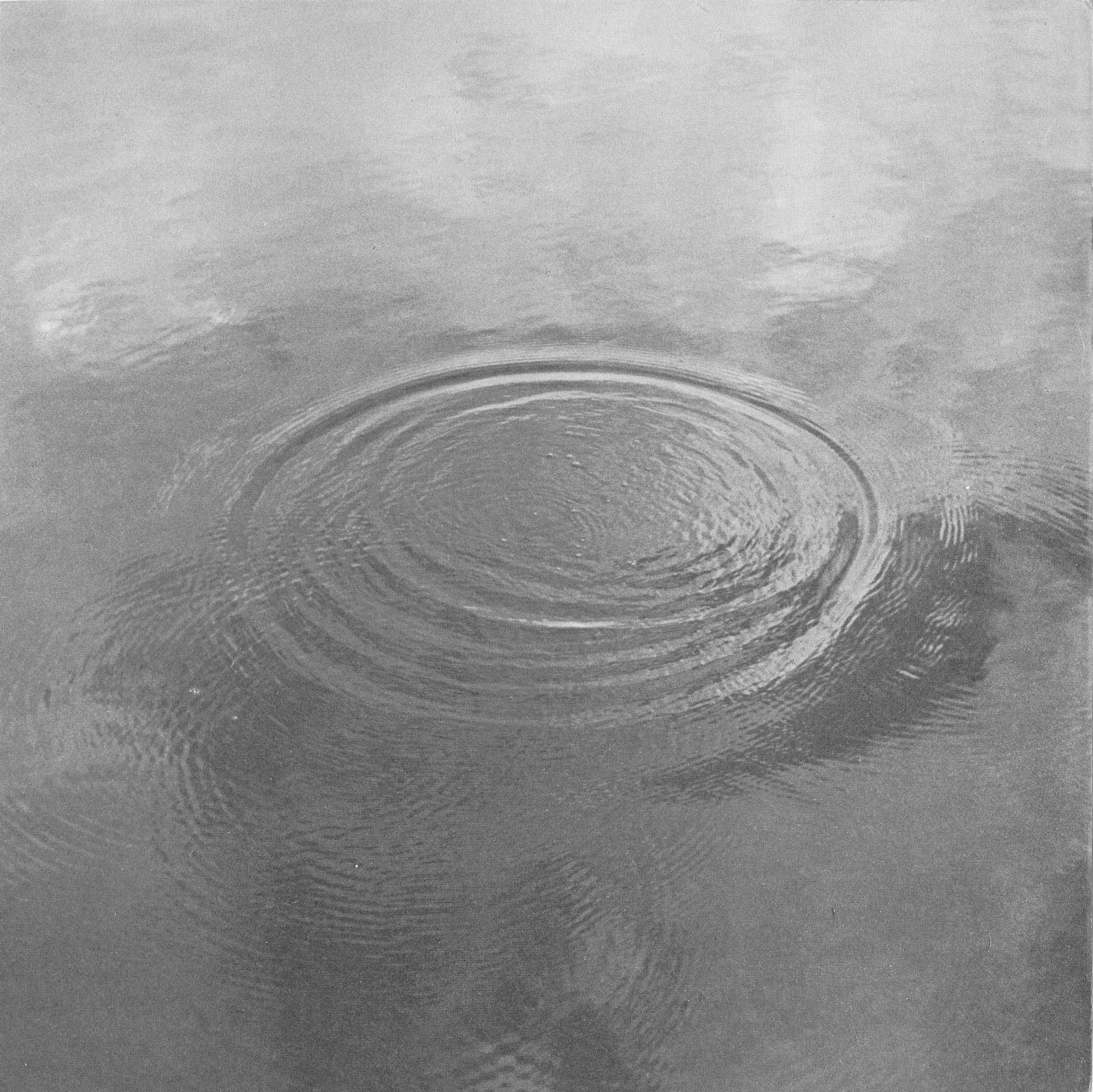 Svartvitt foto av ringar på vattnet.